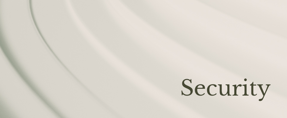 A soft, abstract background with curved lines in shades of pale gray. The word "Security" is boldly printed on the right, suggesting protection and calm.