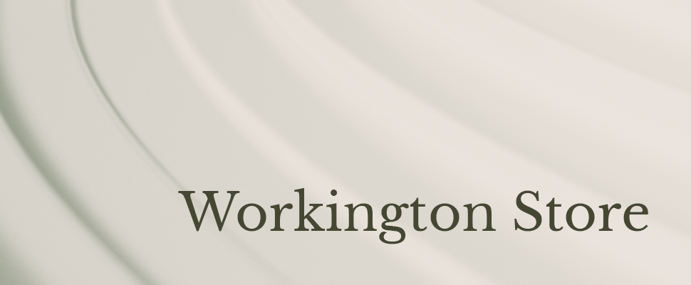 Text 'Workington Store' overlaid on a background with smooth, curved, cream-colored lines, conveying a modern and elegant tone.