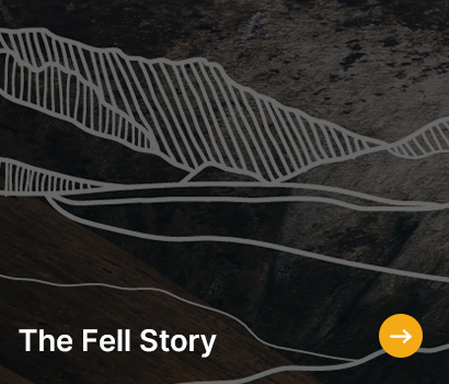 A minimalistic art piece titled "The Fell Story" features stylized white lines forming mountainous shapes on a dark, textured background with an orange arrow icon.