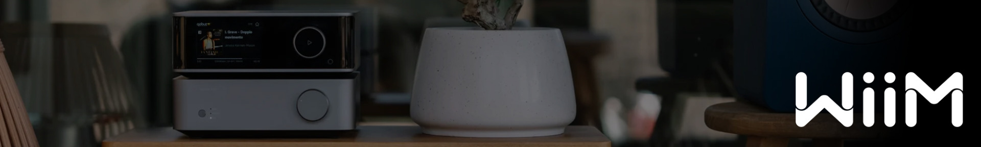 Modern audio equipment with a sleek display sits beside a minimalist white plant pot on a wooden table. The logo "WiiM" is visible in white text.