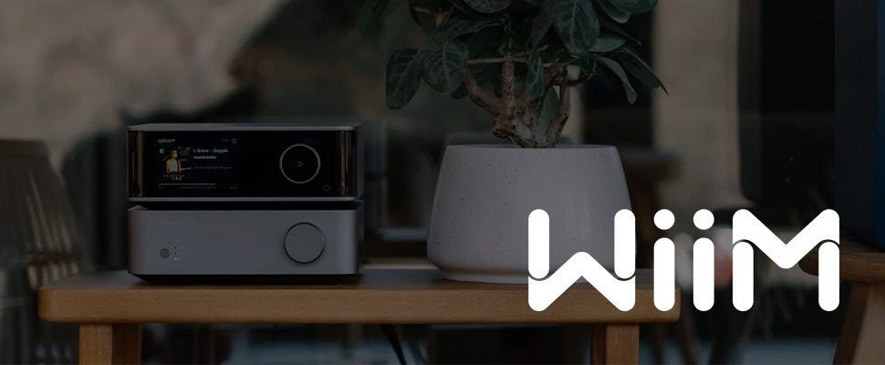 Modern audio equipment with a sleek display sits beside a minimalist white plant pot on a wooden table. The logo "WiiM" is visible in white text.