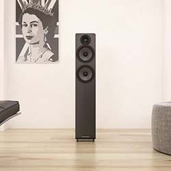 Tall, dark wood floor-standing speaker with six circular drivers, positioned against a grey wall near a framed artwork.