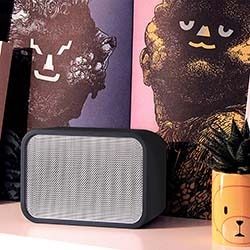 A black Pulse Flex with a Pulse Flex Skin on with a grey mesh front sits on a shelf. Behind it are artistic posters of abstract faces. To the right, a potted plant in a bear-themed pot.