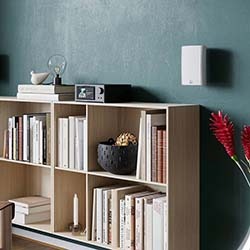 A modern bookshelf against a green wall with a Fazon speaker. Red flowers and a small lamp add an elegant, cosy touch.