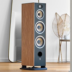 Wood-paneled floor-standing speaker with three circular drivers in a modern living room. Nearby is a tall mirror and a decorative plant, conveying elegance.