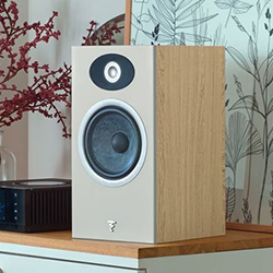 Oak speaker on a shelf, featuring a circular woofer and tweeter. Background includes floral wallpaper and red branches, creating a cozy ambiance.
