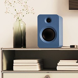 A blue speaker sits on a shelf beside a vase with delicate flowers.