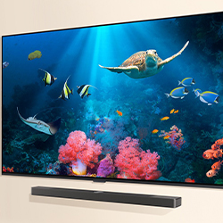 A flat-screen TV displays a vibrant underwater scene with a sea turtle, colourful fish, and coral. A soundbar is mounted below the TV on a beige wall.