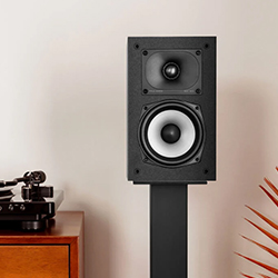 A black speaker on a stand is set against a neutral wall. A turntable rests on a wooden cabinet to the left, and plant leaves add a touch of greenery.