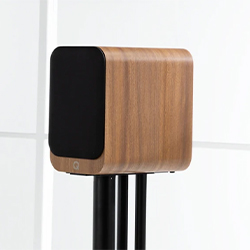 Wooden speaker on a black stand against a white background. The speaker has a black front panel and a minimalist, modern design.