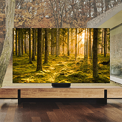 A flat-screen TV in a modern living room displaying a vibrant forest scene with sunlight streaming through trees, creating a warm, serene ambiance.