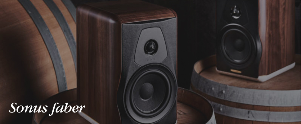 Modern living room featuring large Sonus faber speakers, hardwood floors, a rustic wood media console, and a large TV, creating a sophisticated audio setup.
