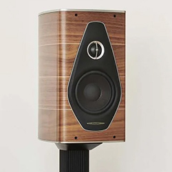 A sleek speaker with wood finish and black front panel sits on a stand. It has a circular woofer and a smaller tweeter, conveying a modern, elegant design.