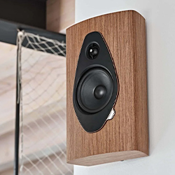 Wall-mounted speaker with a wood grain finish, featuring a black circular speaker cone and tweeter. Modern interior with netted windows in background.