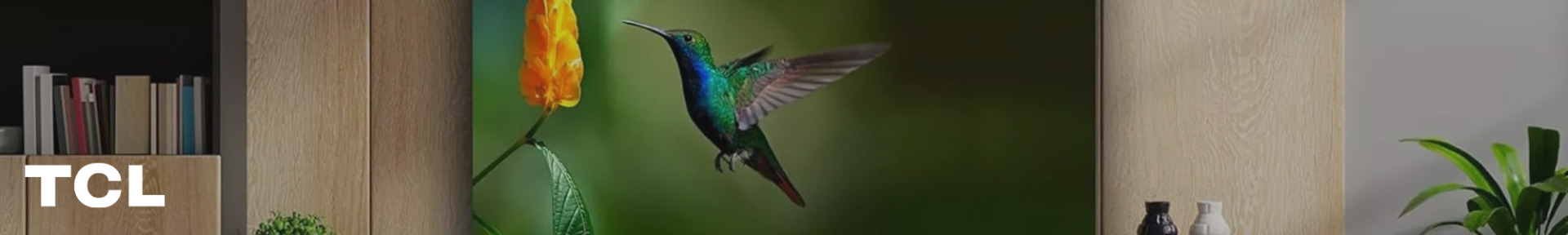 A vivid hummingbird flutters near an orange flower against a blurred green background, displayed on a sleek TV screen in a stylish living room setting.