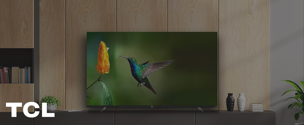 A vivid hummingbird flutters near an orange flower against a blurred green background, displayed on a sleek TV screen in a stylish living room setting.