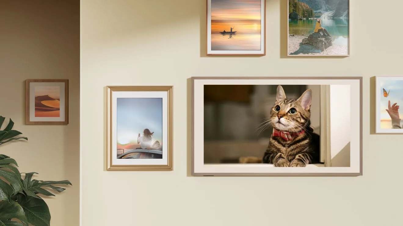 The framed Canvas TV showing a photo of a cat lounging on a wall, looking relaxed and content.