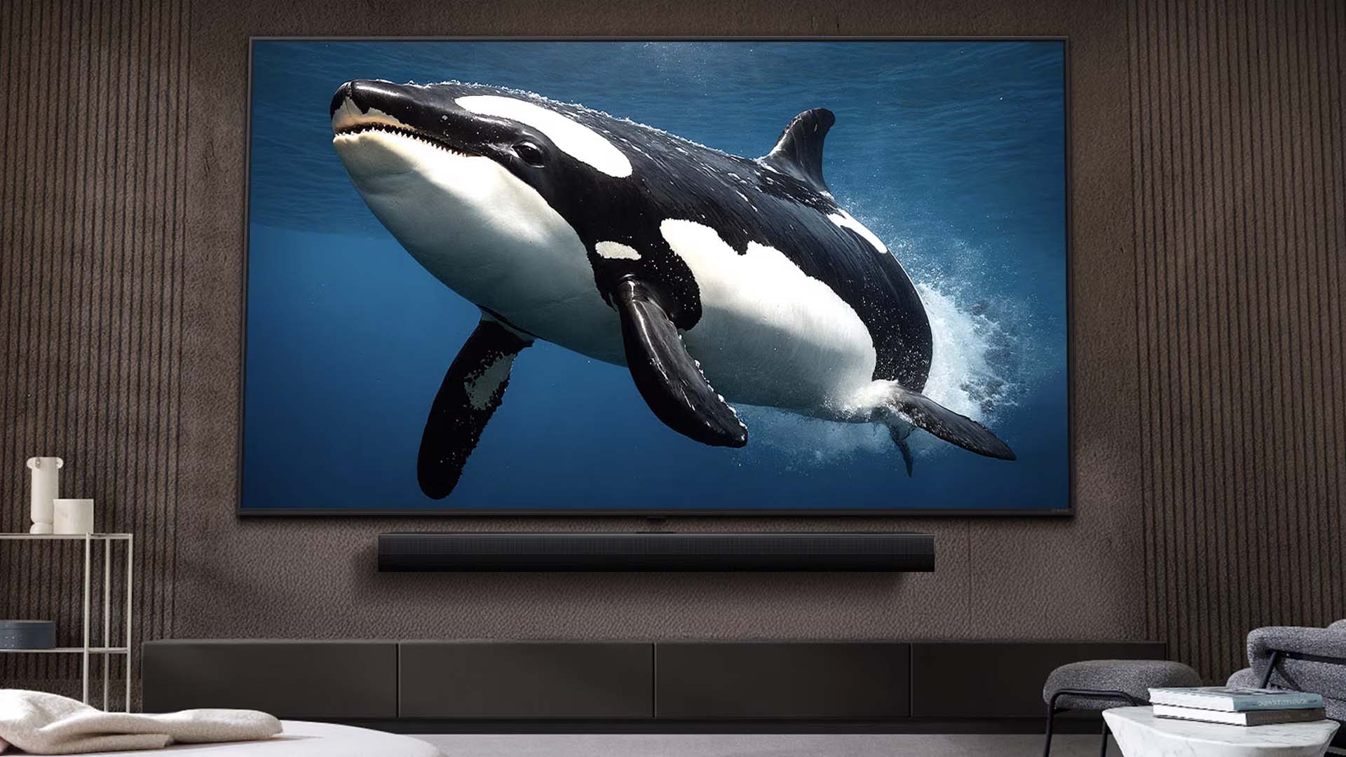 A large TV in a modern living room displays a vibrant image of an orca swimming underwater. The room has dark walls and minimalist décor.