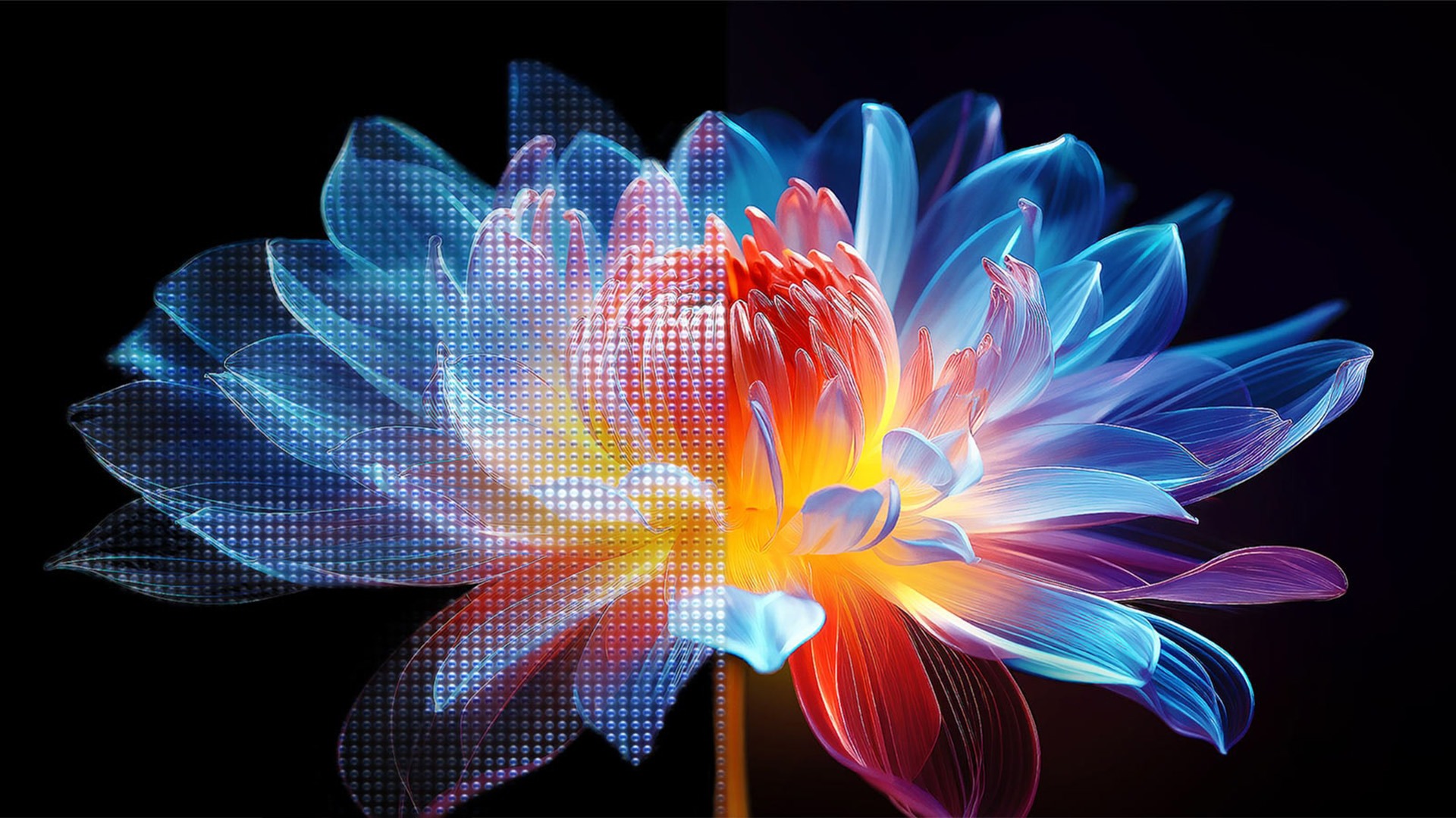 A flower is depicted in full bloom. The screen splits in half to show a grid overlay above the left side of the flower and the right side of the flower is in vivid red, yellow, blue, and purple. 