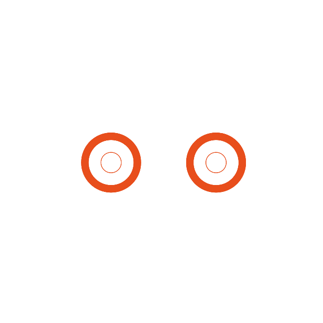1 x Stereo Cinch