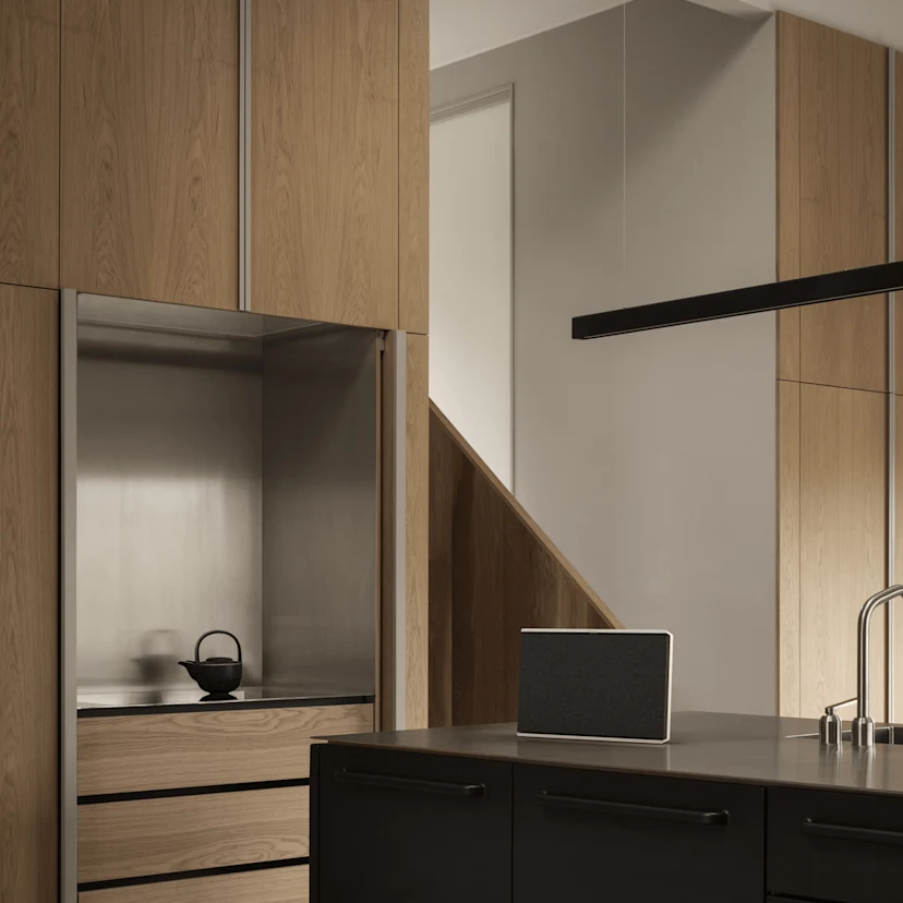 Beosound Level