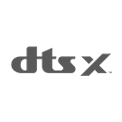 DTS:X