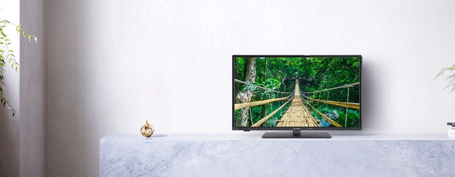 A television on a minimalist white shelf displays an image of a lush green jungle with a wooden bridge. Plants and a small ornament enhance the serene setting.