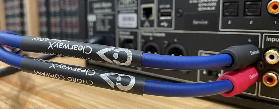 Close-up of two blue audio cables connecting to an input panel on electronic equipment. Cables have silver branding text and red and black connectors.