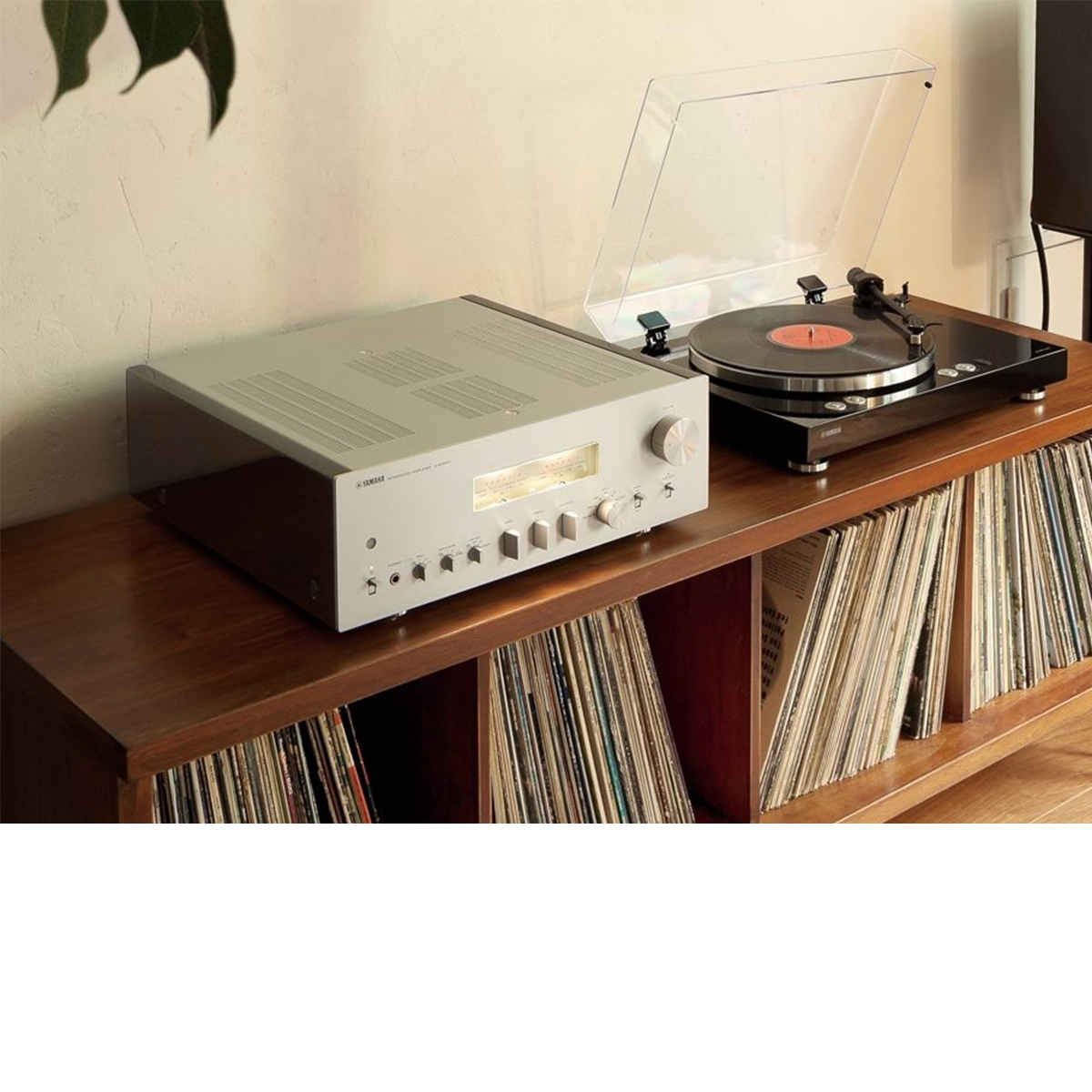 Yamaha AV Receivers, Soundbars, Amplifiers & Speakers - Peter Tyson